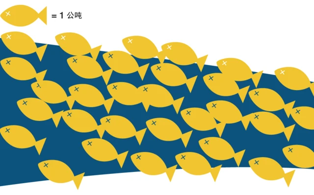 巴西待清理死鱼量示意图