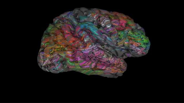 Estudo converteu dados de ressonâncias do cérebro em um mapa do tipo Thesaurus, que associa termos a conceitos, e palavras foram posicionadas nos lados esquerdo e direito do cérebro.
