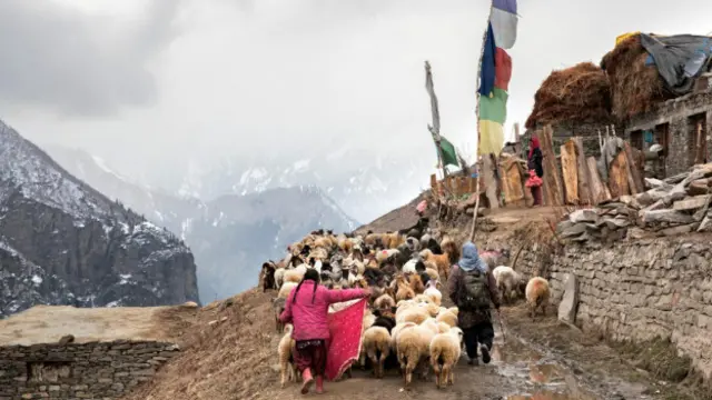 當地人沿著公路邊建起小農場（圖片來源：Himanshu Khagta）