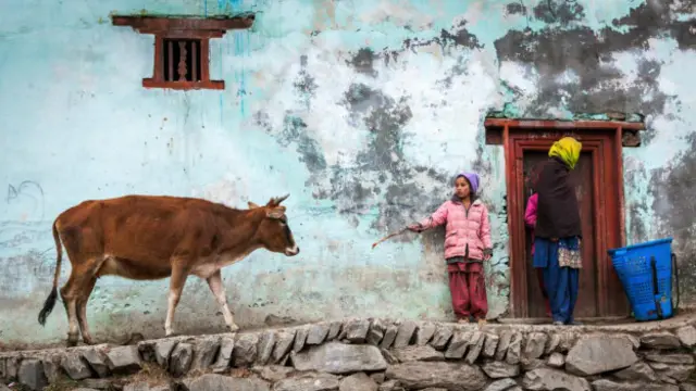 沿著旁吉至基斯赫特瓦爾公路會路過不同的小村莊（圖片來源：Himanshu Khagta）