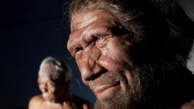 Neanderthal dan manusia modern melakukan 'kawin campur'.