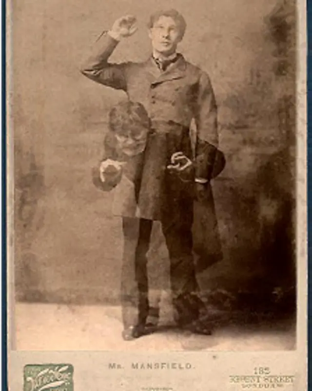 "El extraño caso del doctor Jekill y el señor Hyde", escrito por Robert Louis Stevenson es una versión de la historia del doppelgänger.