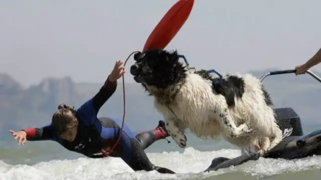 10年间“小旋风”救了9条人命,有男有女,有大人,也有孩子。他还救了一条落水狗。