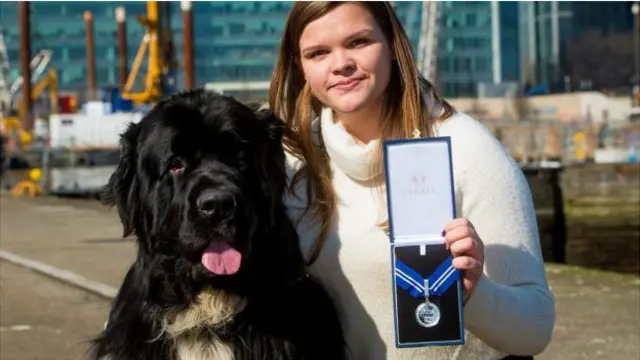 “小旋风”的狗堂弟,Tizz,代表Whizz接受PDSA Order of Merit 勋章。