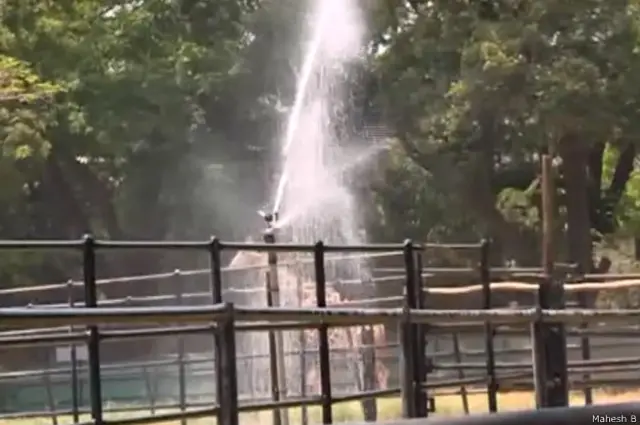 मैसूर चिड़ियाघर