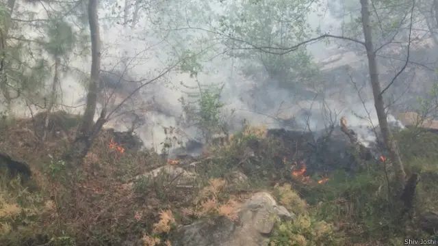 उत्तराखंड जंगलों की आग
