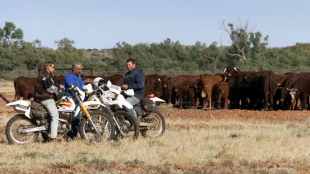 基德曼公司是澳大利亚最大的私人土地持有者，是澳洲向日本、美国和东南亚出口的牛肉的重要来源。