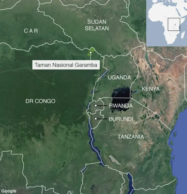 Taman Nasional Garamba