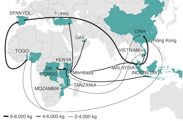 Peta penyelundupan gading