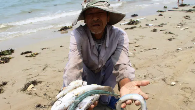 Warga menunjukkan ikan mati