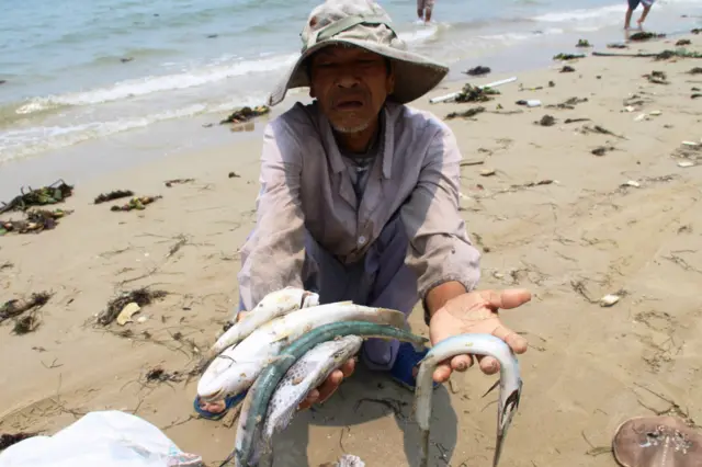 越南中部出現大量魚群死亡事件