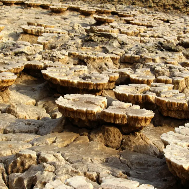 Região possui estruturais naturaisbwin3formabwin3cogumelos