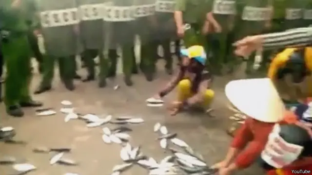 Vụ cá chết hàng loạt khiến người dân miền Trung đau khổ