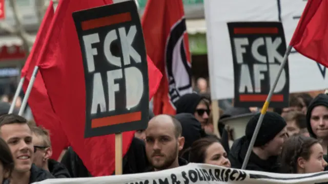 反对德国另类选择党的示威抗议者