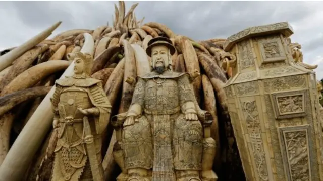 نذر آتش کیے گئے ہاتھی دانتوں میں ان سے تیار شدہ مجسمے اور دیگر اشیا بھی شامل تھیں