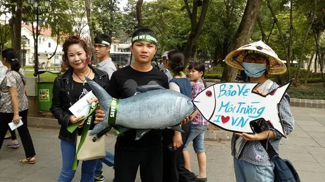 Hiện tượng cá chết hàng loạt tại miền Trung đã làm dấy lên các cuộc xuống đường về môi trường tại Việt Nam