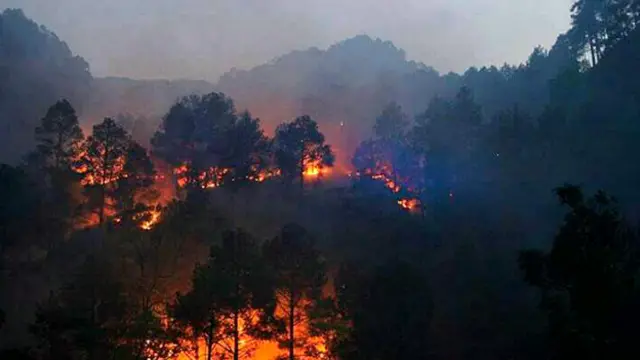 उत्तराखंड के जंगलों में लगी आग.