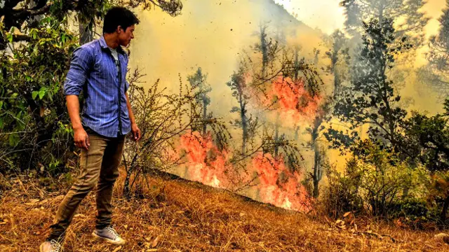 उत्तराखंड के जंगलों में लगी आग.