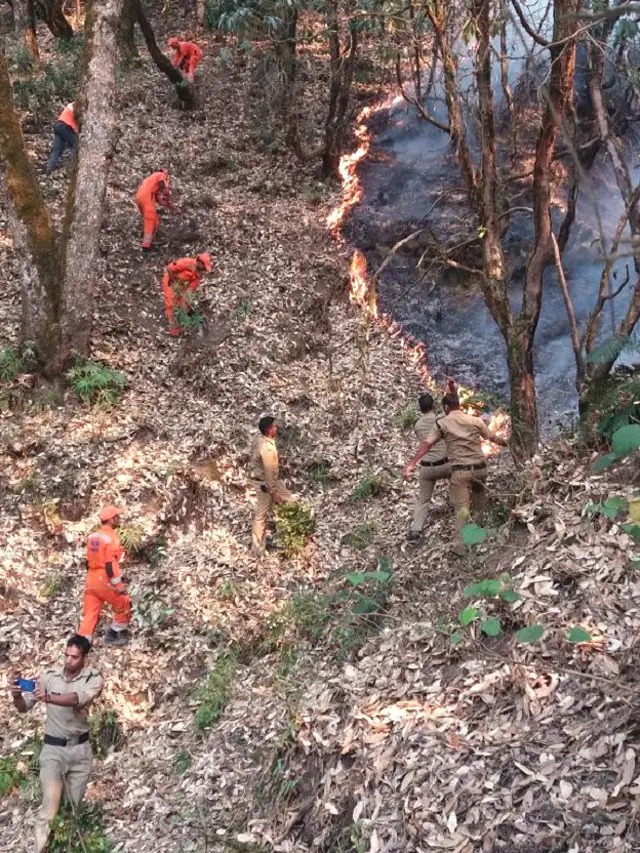 उत्तराखंड के जंगलों में लगी आग को बुझाते जवान.