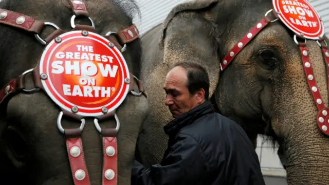Один из дрессировщиков готовит слонов к их последнему выступлению в штате Пенсильвания