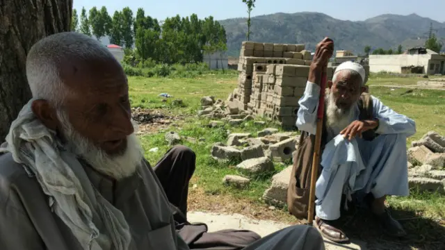 زین بابا هر روز با دوستانش زیر این درخت افرا می‌نشیند