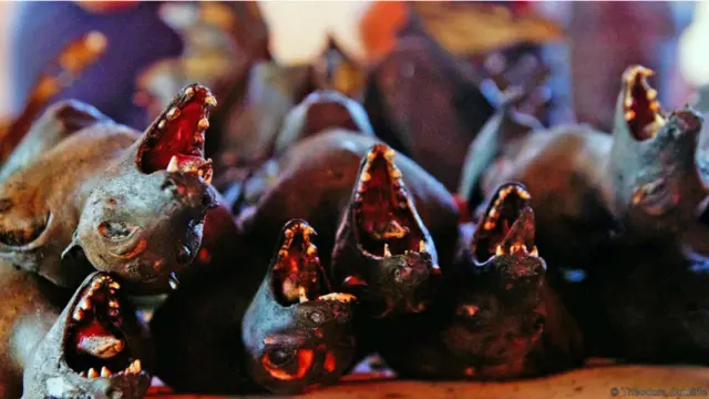 Thực ra có những quy tắc rất nghiêm ngặt được áp dụng đối với cách ăn uống của người Minahasa. "Chúng tôi không ăn thịt những con chó được nuôi trong vùng mình ở," Pongoh nói. Bởi vậy, những người bắt chó phải đi săn từ các thị trấn khác vào ban đêm, và cũng bởi vậy họ nói chung là bị những nơi khác ở Indonesia căm ghét.