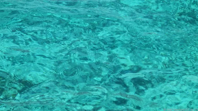 Làn nước biển Caribbe xanh như ngọc