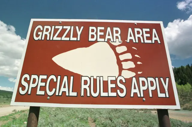 El cartel, ubicado en el estado de Wyoming, busca proteger tanto a los humanos de los osos grizzly como al revés. 