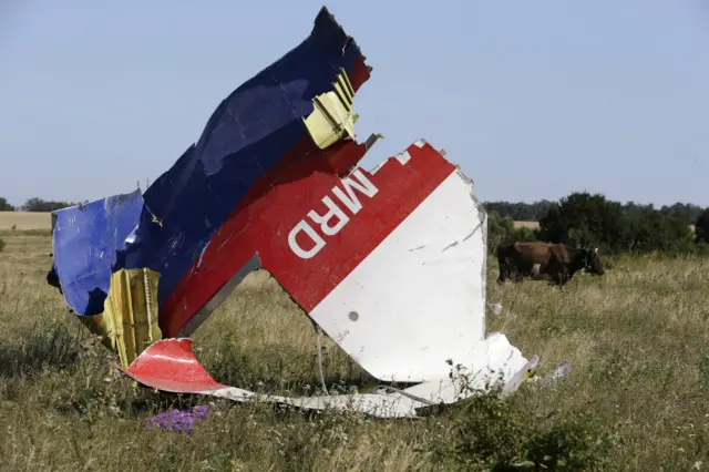 Phi cơ hành khách MH17 của Malaysia đâm xuống Đông Ukraine tháng 7/2014 với cáo buộc nó bị bắn hạ