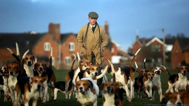 Писатели десятилетиями провозглашают гибель британской классовой системы, но на самом деле сословные различия никуда не исчезли