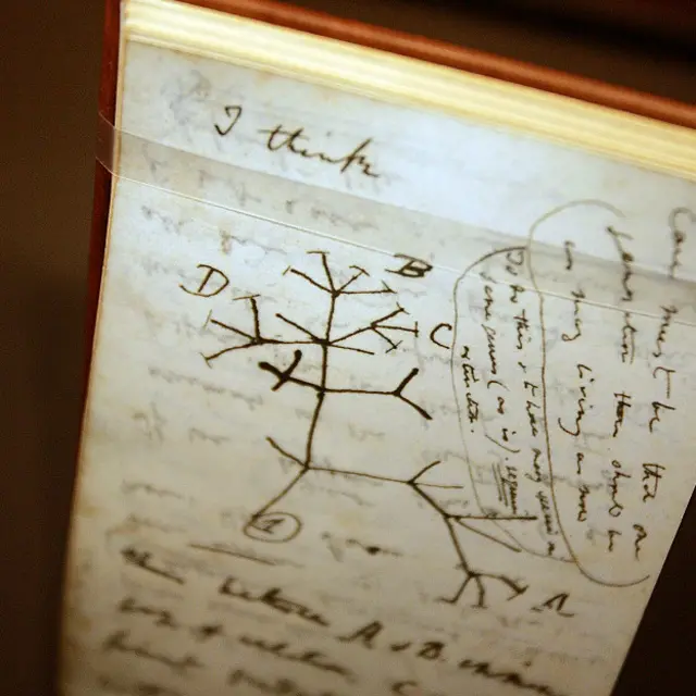 La libreta de Charles Darwin... ¡Y si no pudiéramos leerla!