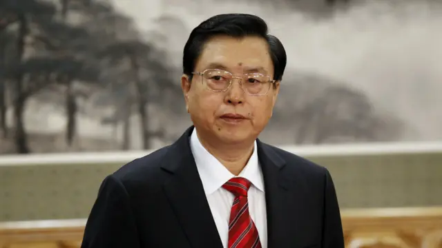 中国全国人大委员长张德江