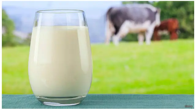 يعد اللبن الخام من أهم مصادر انتقال عدوى مرض السل الحيواني إلى البشر.