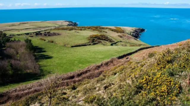 從巴德西島的「山」上往西北方向眺望到的愛爾蘭海的景象。（圖片來源：Amana Ruggeri）