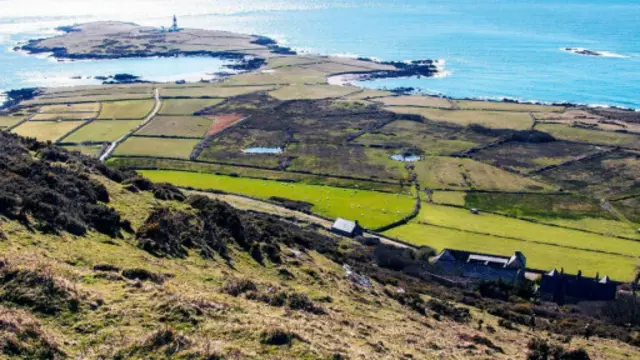 （圖片來源：Amana Ruggeri）