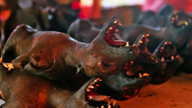 托莫洪市场(图片来源:Theodora Sutcliffe)