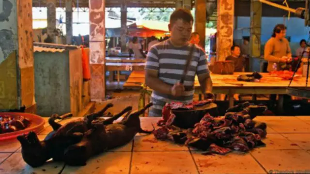 “在市场的另一端,一个屠夫肢解了另一条狗的尸体”(图片来源:Theodora Sutcliffe)