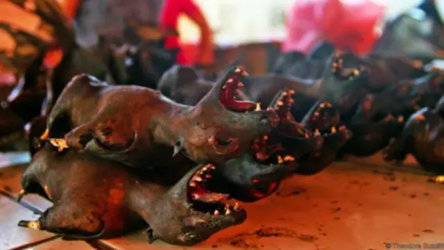 蝙蝠是托莫洪市场上出售的烹饪调x'料之一(图片来源:Theodora Sutcliffe)