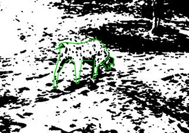 El dálmata que, si no lo habías visto, ahora no podrás dejar de verlo. Compruébalo volviendo al principio de la página.