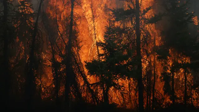 kebakaran terjadi di kawasan penghasil minyak Kanada. Daerah ini disebut-sebut memiliki cadangan minyak terbesar ketiga di dunia.