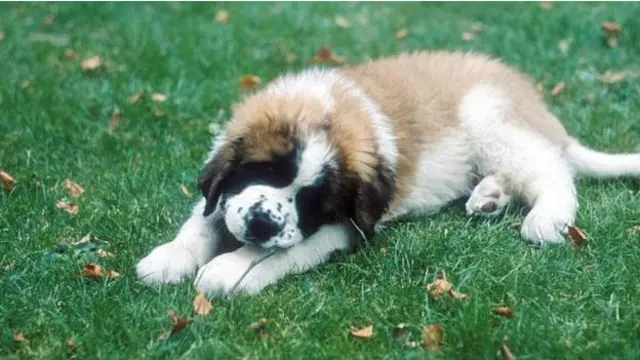 Английские легенды