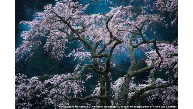 Katsuyoshi Nakahara / National Geographic Travel Photographer of the Year Contest