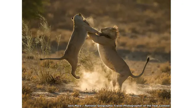 Jaco Marx / National Geographic Travel Photographer of the Year Contest