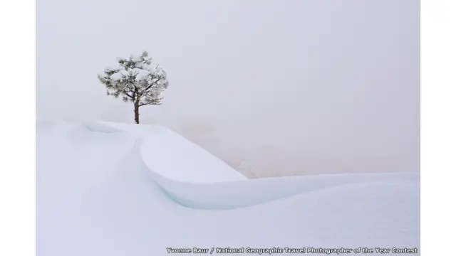 Yvonne Baur / National Geographic Travel Photographer of the Year Contest