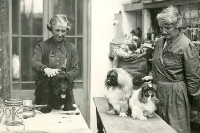 Женщины с собаками