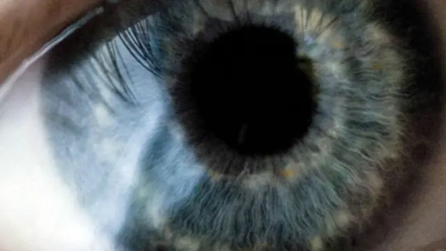 (圖片來源: Getty Images)