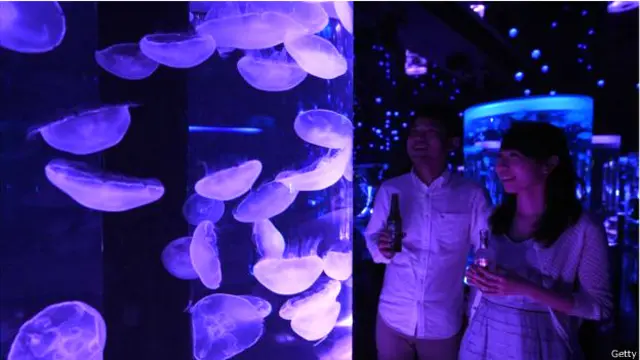 जेली फिश- सुंदर भी, स्वादिष्ट भी.