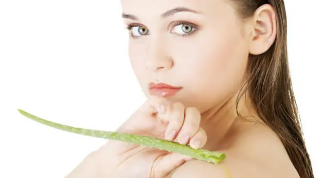 Aloe vera