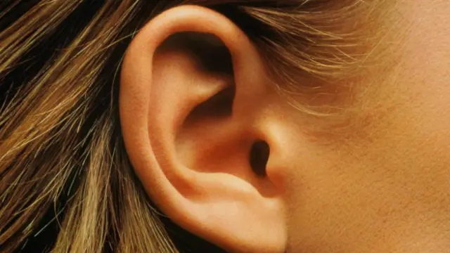 Secreção tem várias funções de defesa do canal auditivo, segundo cientistas