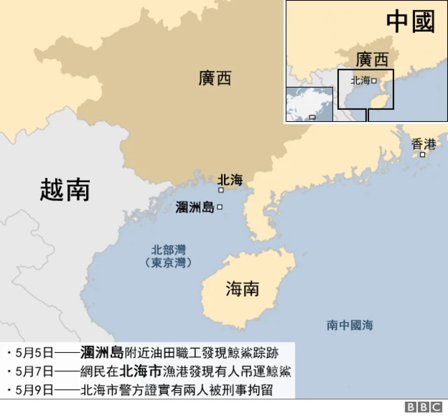 地图:广西北海鲸鲨命案时序